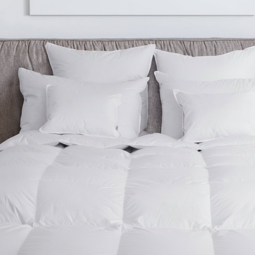 DOWNRIGHT ORGANA PILLOWS