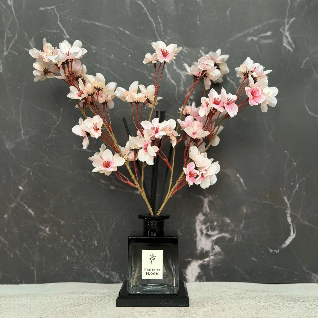 DARK KISS DIFFUSER GIFT SET