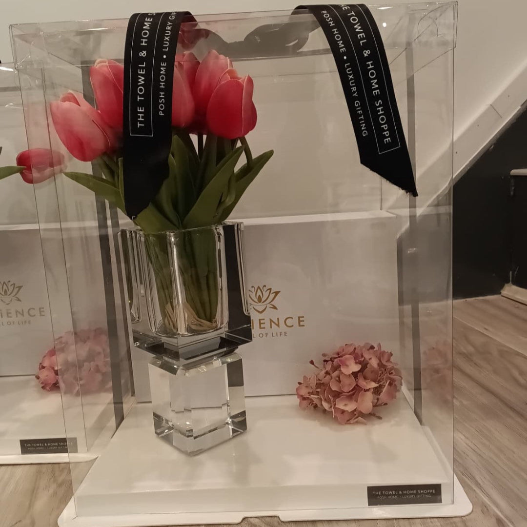 VIVIENCE VASE DISPLAY