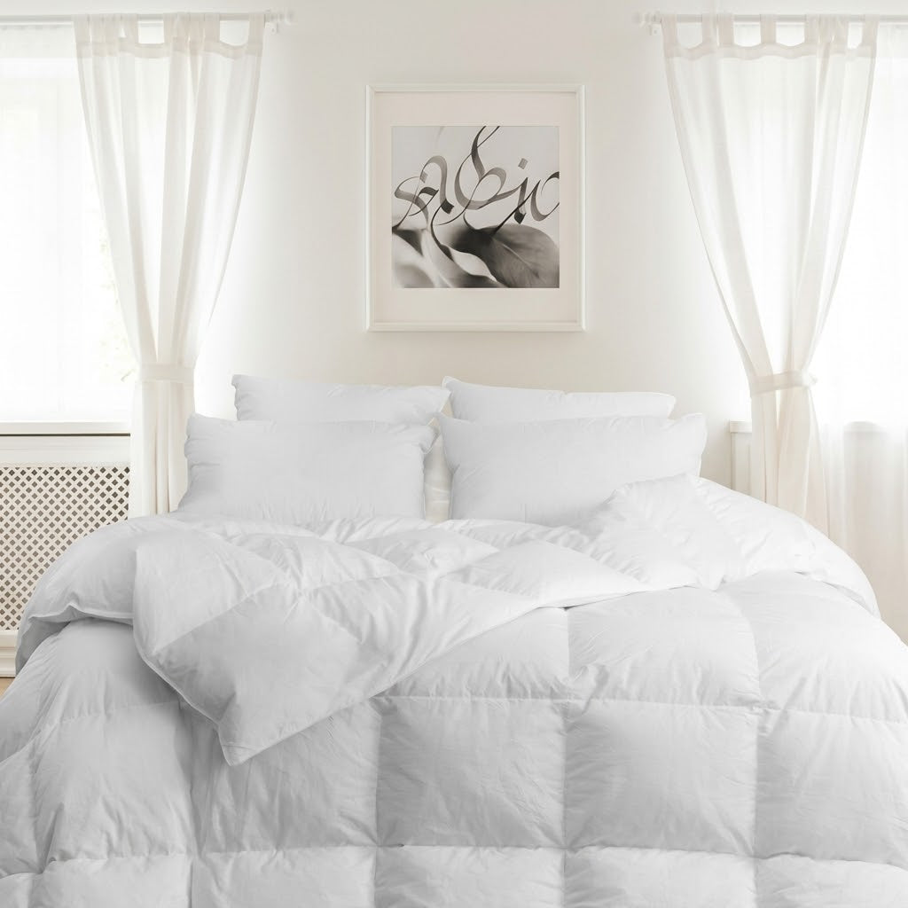 DOWNRIGHT ASTRA PILLOWS