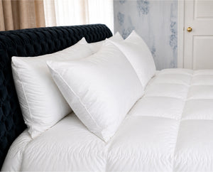 DOWNRIGHT HIMALAYA PILLOWS