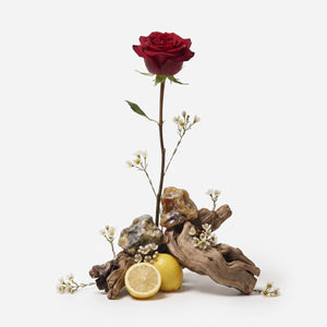 FRAVE REFILL OIL FOR REED DIFFUSERS