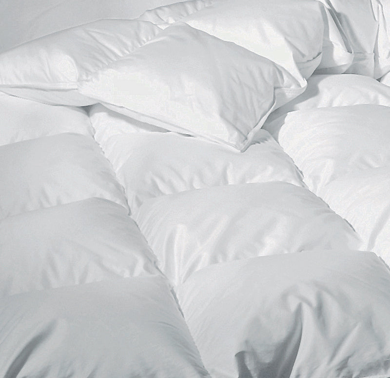 DOWNTOWN REGENCY WINTER COMFORT PLATINUM