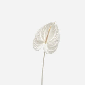 PERFUM SACHET - LUXURY HANGING SENT POUCH